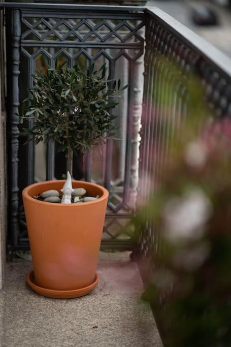 Porto Contemporary Apartment In City Center מראה חיצוני תמונה